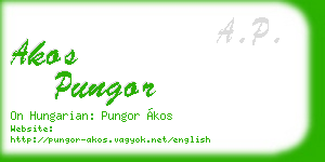 akos pungor business card