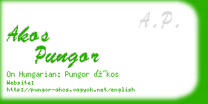 akos pungor business card